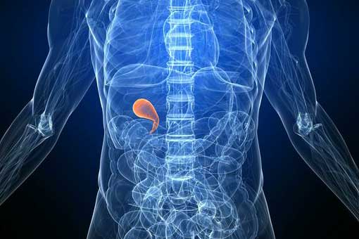 upper gastrointestinal surgeons treat gallbladder and gallstones