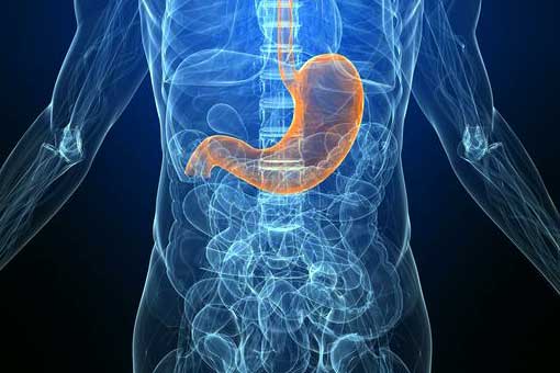 Bowel Cancer and Stomach Cancer